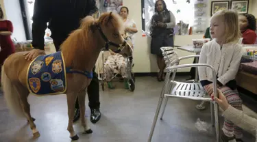 Handler Jorge Garcia - Bengochea memegang kuda poni dari Gentle Carousel Horses Miniatur Therapy saat kunjungan di Rumah Sakit anak Kravis, New York City, (16/3). Kuda ini nantinya akan menghibur para pasien rumah sakit ini. (REUTERS / Mike Segar)