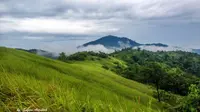 Gunung Sebatung di Kotabaru, Kalimantan Selatan. (Dok:&nbsp;@rianra_rar https://www.instagram.com/p/BpwERFKFp15/?igsh=ODk1ejQ1MWt3M3Mw)