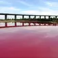 Orang bertanya-tanya, apa gerangan yang membuat perairan itu tiba-tiba berwarna pink mencolok. (Parks Victoria)