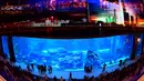 Wisatawan mengunjungi akuarium Dubai Mall di pusat kota Dubai, Uni Emirat Arab pada Rabu (2/1). Dubai Mall aquarium ini merupakan akuarium dalam mal yang disebut sebagai yang terbesar di dunia. (GIUSEPPE CACACE / AFP)