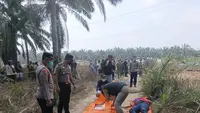 Terungkap Identitas Jasad Wanita Tergeletak di Kebun Sawit Mesuji