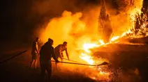 Kebakaran Hutan Melanda Serbia Saat Gelombang Panas Menerpa Eropa