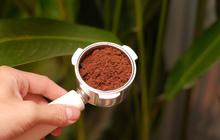 11 Tanaman yang Bisa Tumbuh Subur dengan Ampas Kopi, Bikin Tanaman Makin Rimbun dan Sehat