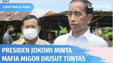 Usai Kejaksaan Agung menetapkan empat orang tersangka kasus penyalahgunaan izin fasilitas ekspor minyak goreng, Presiden Jokowi minta agar kasus mafia minyak goreng diusut tuntas. Sementara itu, salah tersangka merupakan Dirjen Kemendag.