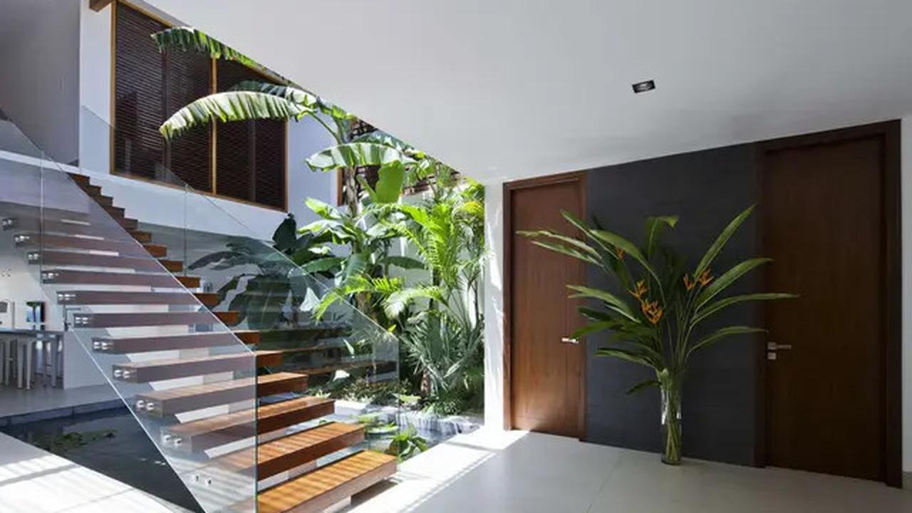 Model Taman Minimalis di Dalam Rumah yang Bikin Hunian Asri, Simak Rekomendasinya