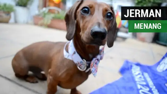 Berita video seekor anjing yang meramal Jerman akan menaklukkan Meksiko di Piala Dunia 2018