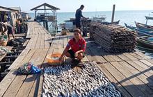 BRI Bawa UMKM Ikan Kering Sorong Naik Kelas, dari Lokal Menuju Pasar Lebih Luas