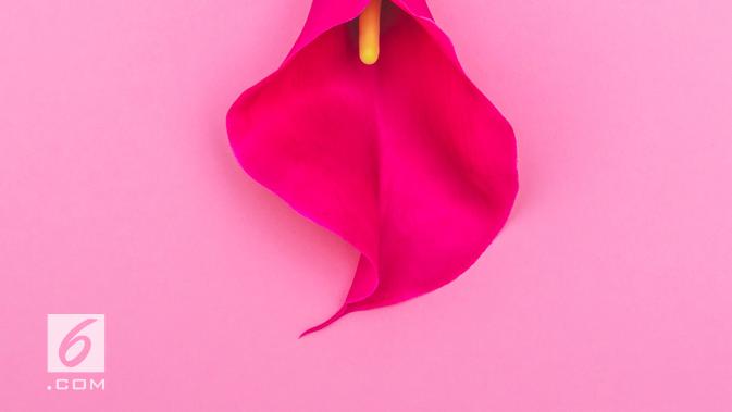 Ilustrasi vagina (iStockphoto