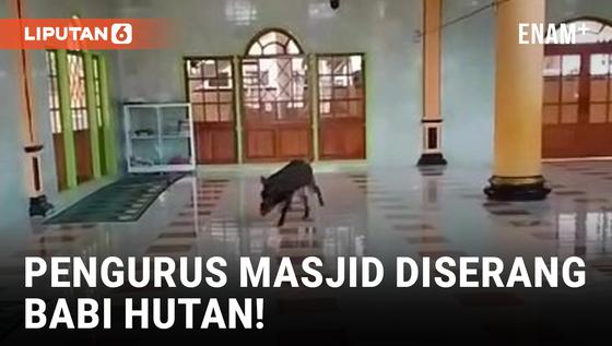 VIDEO: Geger! Babi Hutan Masuk Masjid saat Diburu Warga