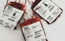 Darahmu, Nyawaku, Mengenal Golongan Darah Langka dan Pentingnya Donor di Hari Donor Darah Sedunia