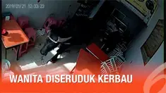 Seorang wanita secara tragis diserang oleh seekor kerbau di China. Dua orang terluka dalam insiden ini.