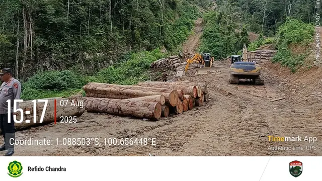 MORATORIUM TATA USAHA KAYU UNTUK PHAT, HENTIKAN MODUS PENCUCIAN KAYU ILEGAL KEJAHATAN ILLEGAL LOGGING (dok. KEMENTERIAN KEHUTANAN DIREKTORAT JENDERAL PENEGAKAN HUKUM KEHUTANAN)