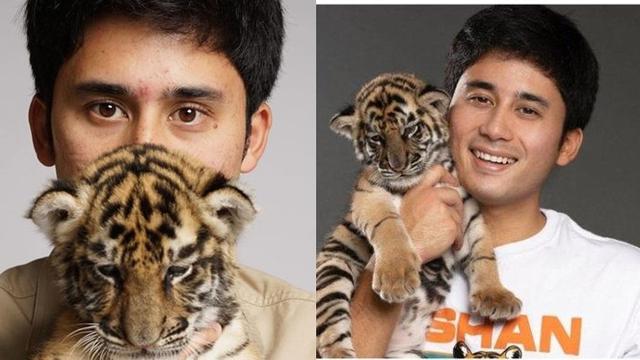 5 Fakta Anak Harimau Milik Alshad Ahmad Mati Lagi, Dikritik Netizen