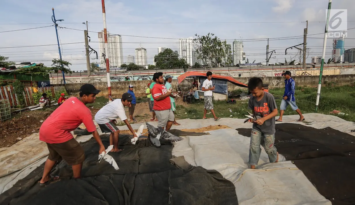 Warga berlatih burung dara kolong lapak tanggul di pesisir Banjir Kanal Barat, Petamburan, Tanah Abang, Jakarta, Rabu (27/2). Latihan tersebut bertujuan untuk mengikuti lomba burung dara setiap hari Sabtu dan Minggu. (Liputan6.com/Fery Pradolo)