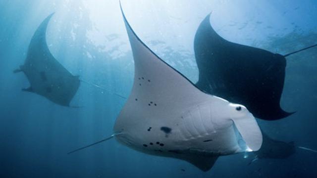 Labuan Bajo, Destinasi Liburan Akhir Tahun 2018 Paling Direkomendasikan