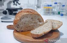 Inovasi BRIN: Sourdough Beras Merah Lokal Gunungkidul Tawarkan Manfaat Kesehatan Unik