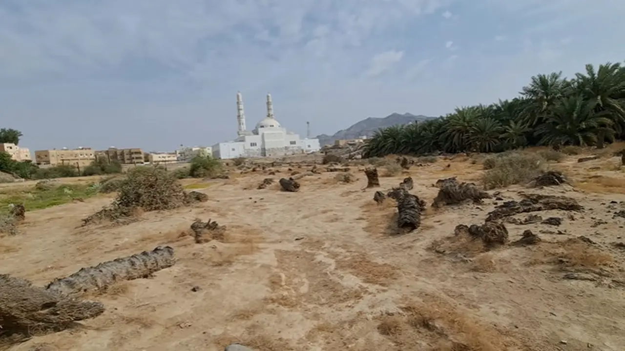 6 Potret Lokasi Area Perang Badar, Jadi Peperangan Pertama dalam Sejarah Islam