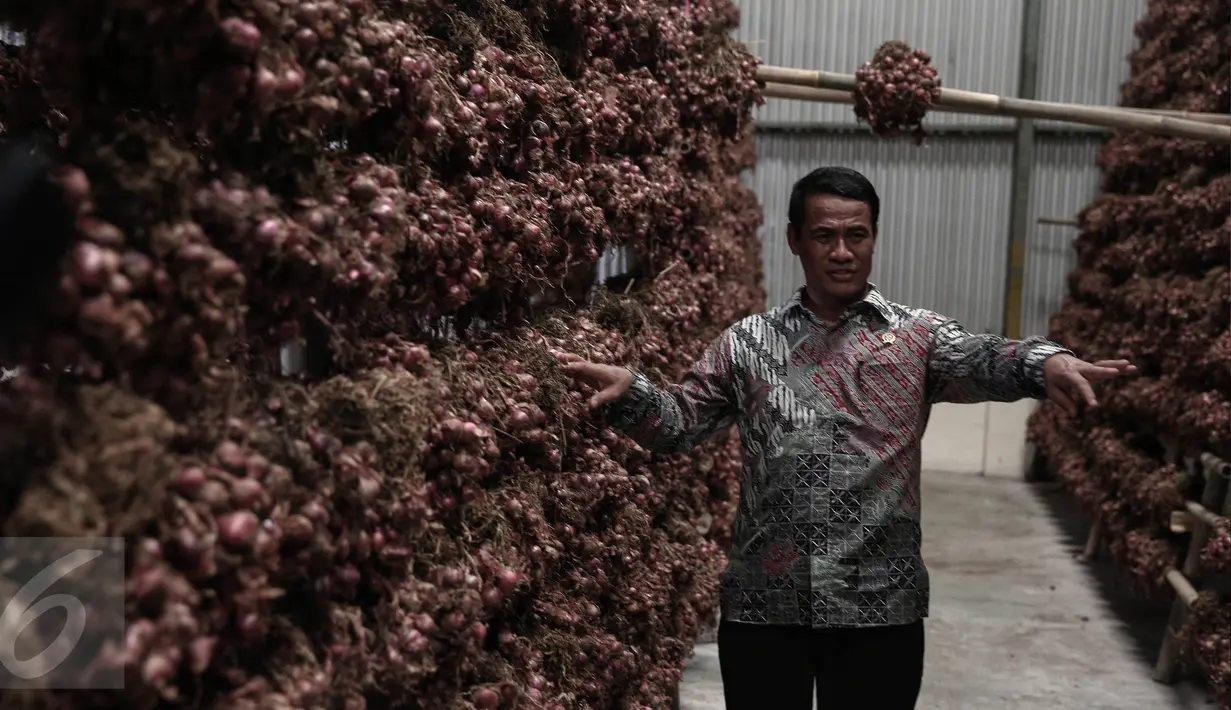 Menteri Pertanian Andi Amran Sulaiman meninjau pasokan bawang merah di Gudang Bulog, Jakarta, Senin (16/5). Bulog menyiapkan stok bawang merah 23.000 ton dari total kebutuhan 12.600 ton untuk Operasi Pasar (OP). (Liputan6.com/Faizal Fanani)