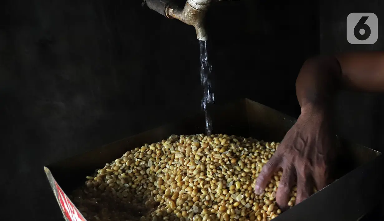 Pekerja mencuci kedelai yang akan digunakan untuk bahan baku pembuatan tahu di salah satu tempat produksi tahu di rumah industri Kawasan Kelapa Dua, Kebon Jeruk, Jakarta Barat, Jumat (11/11/2022). Menteri Perdagangan mengatakan rencana impor kedelai  guna menekan kenaikan harga tempe dan tahu di dalam negeri sudah disetujui Presiden Joko Widodo atau Jokowi. (Liputan6.com/Johan Tallo)