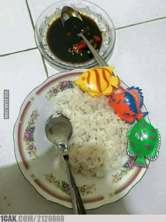 6 Makan Irit Pakai Lauk Mainan Bentuk Ikan Ini Nyeleneh, Kocak