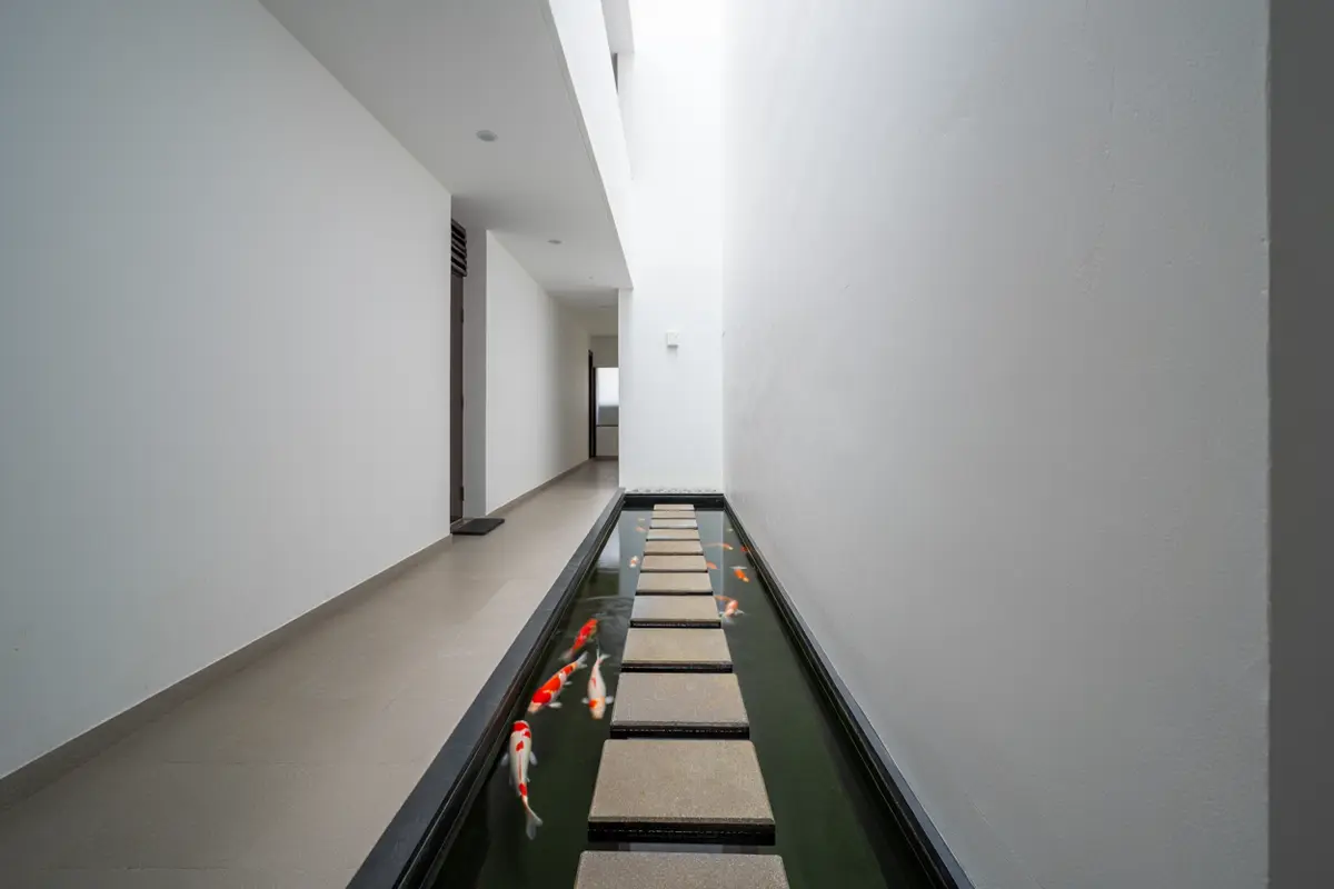 Desain Rumah Kecil dengan Kolam Koi Indoor (Foto: Reve Art AI)