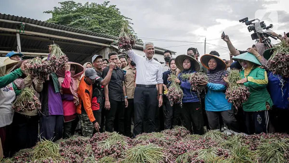 Calon presiden nomor urut 3, Ganjar Pranowo mengangkat bawang merah saat bertemu dengan para petani di Desa Kertabesuki, Kecamatan Wanasari, Kabupaten Brebes, Provinsi Jawa Tengah, Rabu (10/1/2024).