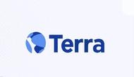 Ilustrasi Terra (Foto: tangkapan layar terra.money)