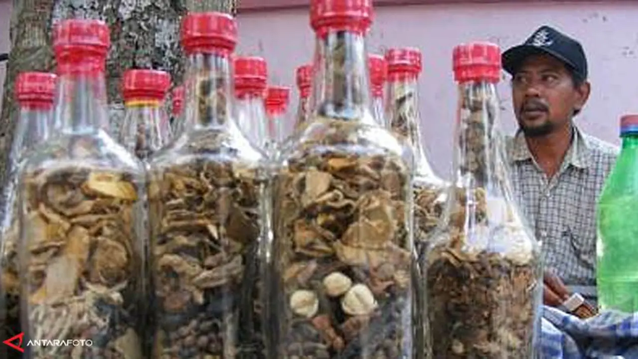 jamu-1-131108a.jpg