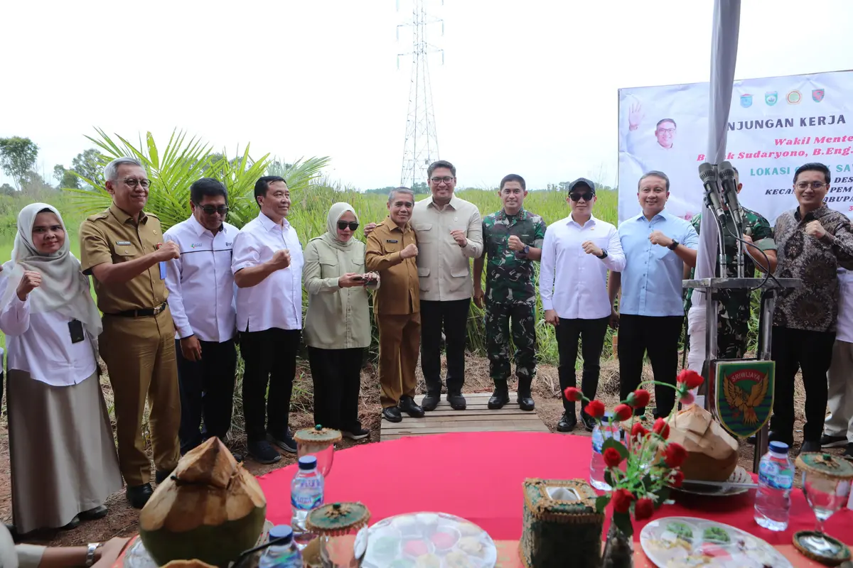 Wamentan Sudaryono Dorong Sumsel Capai Optimasi Lahan Rawa 106 Ribu Hektar Lebih Cepat