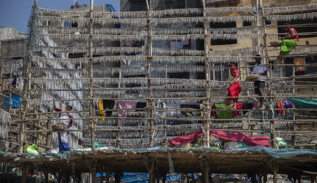 Sejumlah nelayan wanita menggantung ikan di tiang bambu untuk dijemur di koloni nelayan di Mumbai, India, Rabu (29/12/2021). (AP Photo/Rafiq Maqbool)