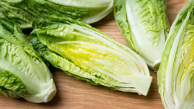 romaine lettuce