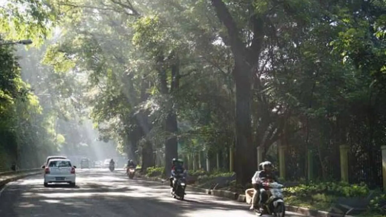 Kisah Menyeramkan Kebun Binatang di Kota Bandung