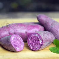 Ilustrasi/copyright shutterstock.com/P-fotography