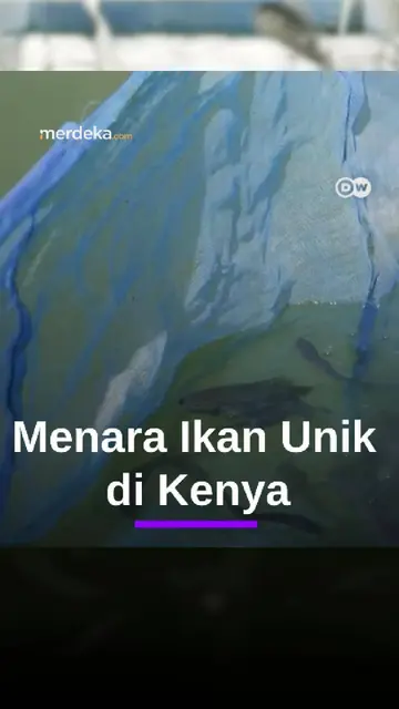 Peternak Kenya Bangun "Menara Ikan" Hemat Air #Mdkdw26