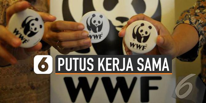 VIDEO: Sebab KLHK Putuskan Kerja Sama dengan WWF