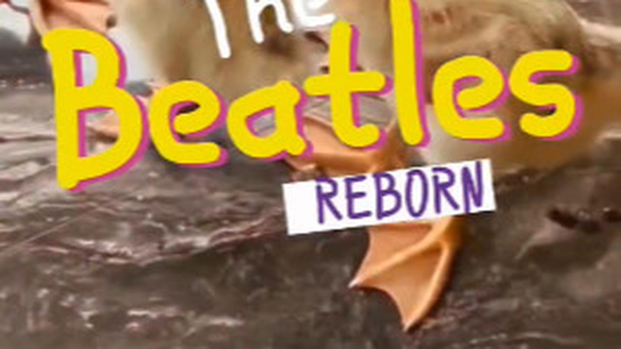 Panglima TNI Kehadiran 'The Beatles' di Rumahnya