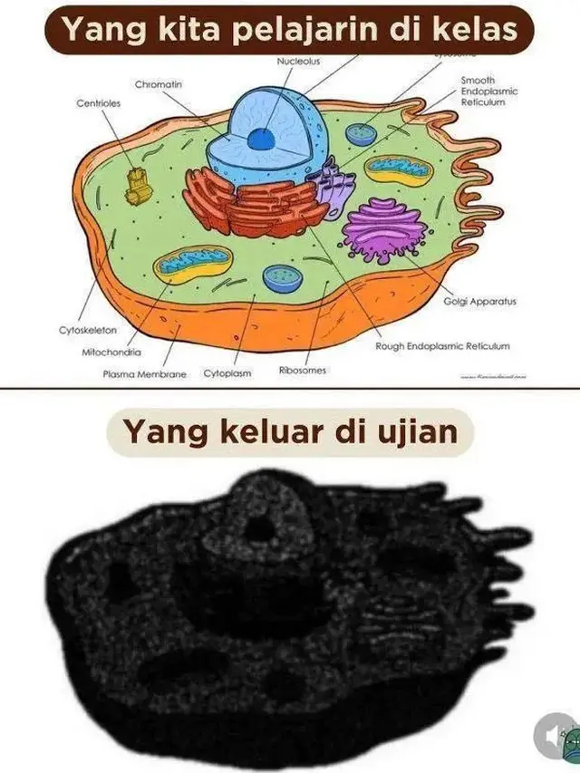 6 Meme Soal Ujian Lebih Sulit dari Tugas Harian Ini Kocak, Relate dengan Siswa