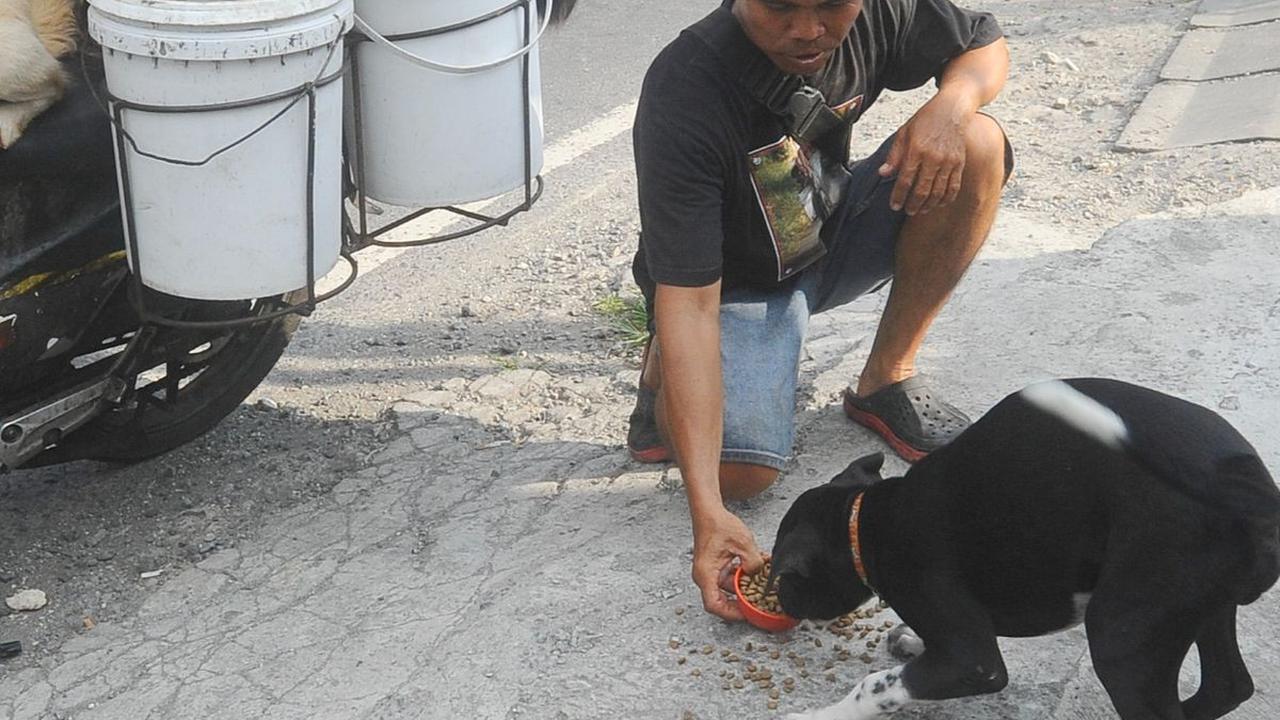 Kecintaan Lelut juga terlihat saat ia juga memberi makan kepada anjing-anjing liar yang ia temui di jalan.