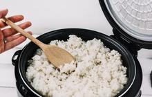 Cara Sederhana dan Gampang Hindari Nasi Basi di Rice Cooker, Wajib Dicoba