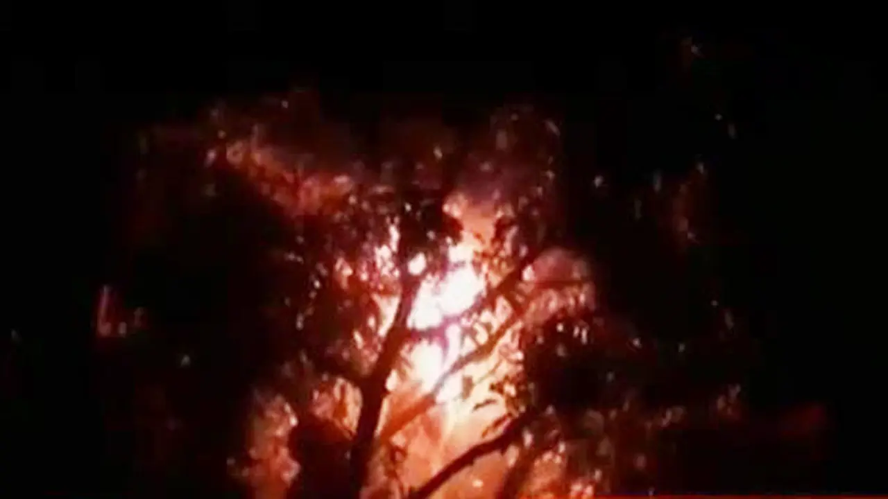 Pemusnahan Sarang Lebah