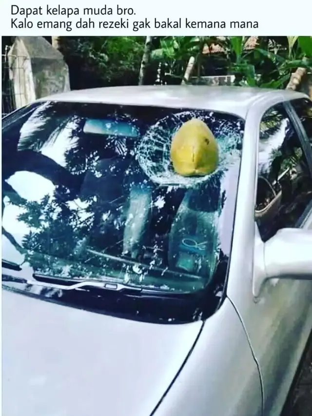 6 Momen Apes Mobil Tertimpa Buah saat Sedang Diparkir Ini Bikin Elus Dada