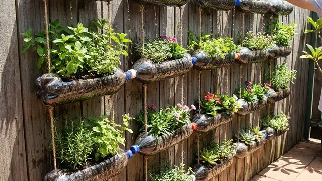 Kebun Sayur Rumah dengan Sistem Siram Otomatis
