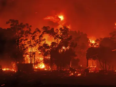 Kebakaran hutan membakar sebuah rumah di desa Avantas, dekat kota Alexandroupolis, di timur laut wilayah Evros, Yunani, Senin, 21 Agustus 2023. (AP Photo/Achilleas Chiras)