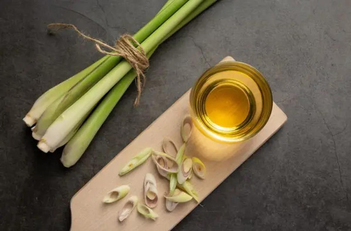 5 Resep Minuman Kunyit yang Ampuh Turunkan Kolesterol dan Asam Urat