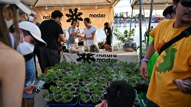 Merayakan Legalisasi Ganja di Thailand