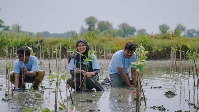 PTFI Tanam 50 Ribu Mangrove di Gresik, Dukung Pelestarian Ekosistem Pesisir