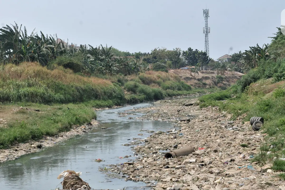 Kemarau Panjang, Kali Bekasi Hampir Kering