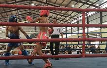 235 Atlet Bertanding, Babak Kualifikasi Porprov Jateng Kickboxing 2025 Siap Lahirkan Bintang PON