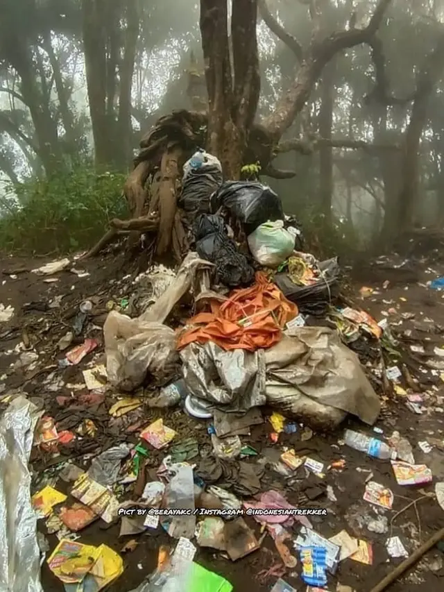 Potret Gunung Dempo di Sumatera Selatan Dipenuhi Sampah