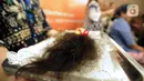 Rambut pendonor yang menjalani pemotongan dalam acara Hair to Share di RS Siloam, Semanggi, Jakarta, Rabu (12/2/2020). Lebih dari 70 pendonor mendonasikan rambutnya untuk para penderita kanker di Yayasan Kanker Indonesia. (merdeka.com/Arie Basuki)